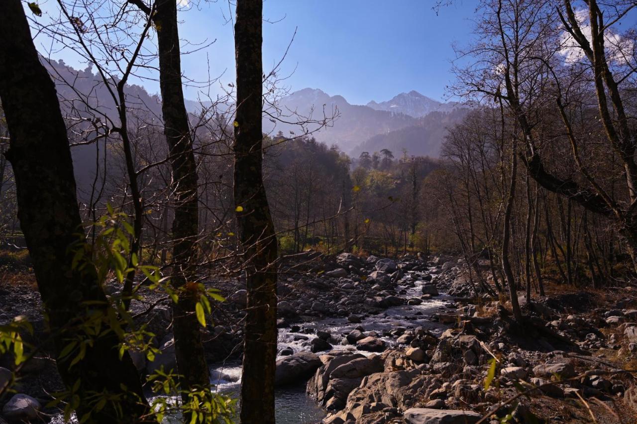 Zostel Dobhi, Manali Nagar (Himachal Pradesh) Exterior foto