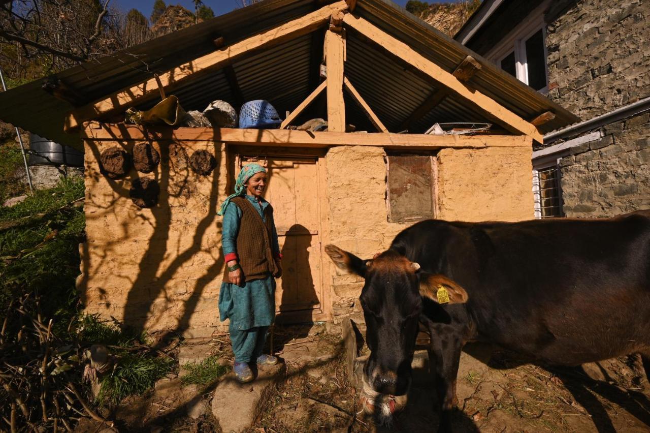 Zostel Dobhi, Manali Nagar (Himachal Pradesh) Exterior foto