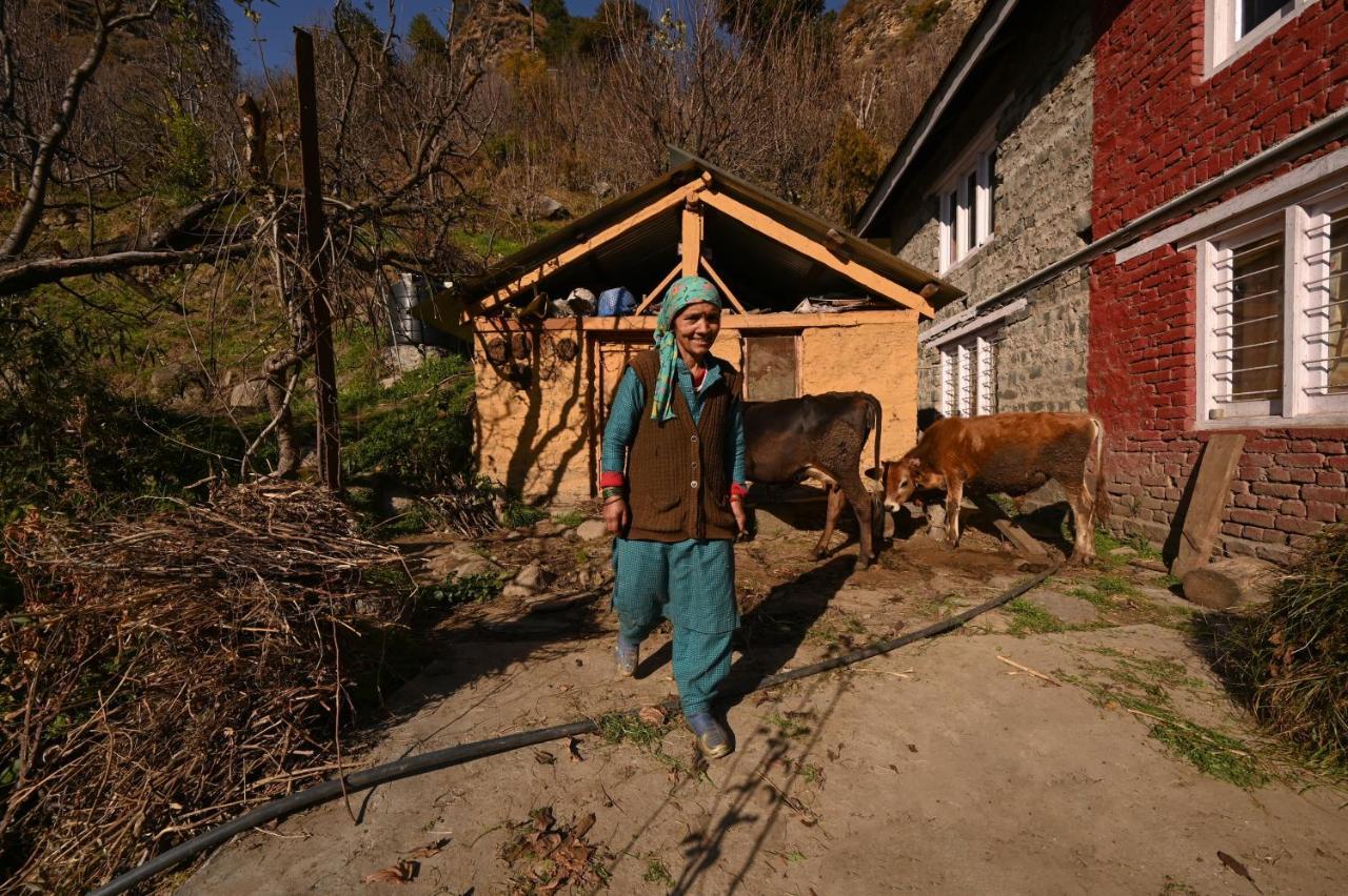 Zostel Dobhi, Manali Nagar (Himachal Pradesh) Exterior foto