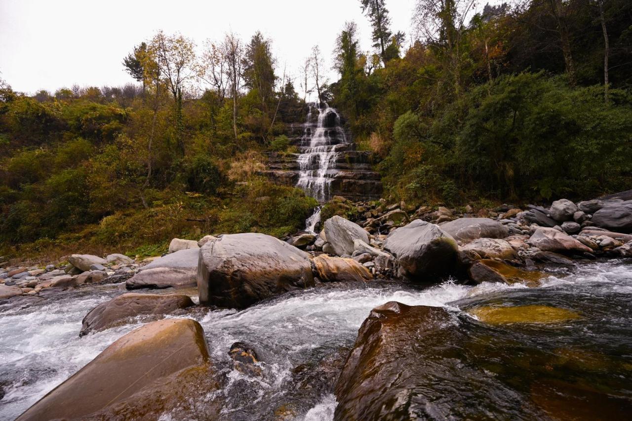 Zostel Dobhi, Manali Nagar (Himachal Pradesh) Exterior foto