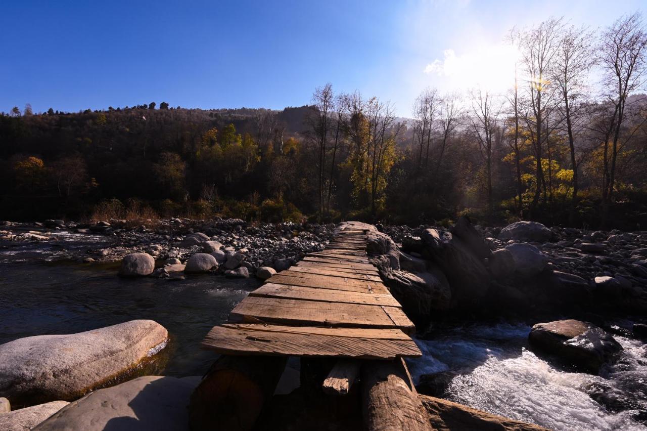 Zostel Dobhi, Manali Nagar (Himachal Pradesh) Exterior foto