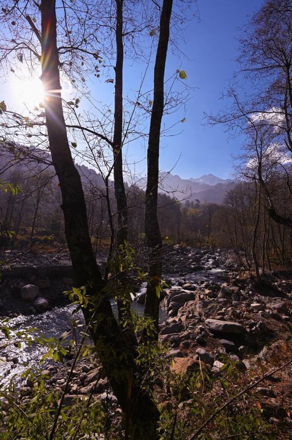 Zostel Dobhi, Manali Nagar (Himachal Pradesh) Exterior foto