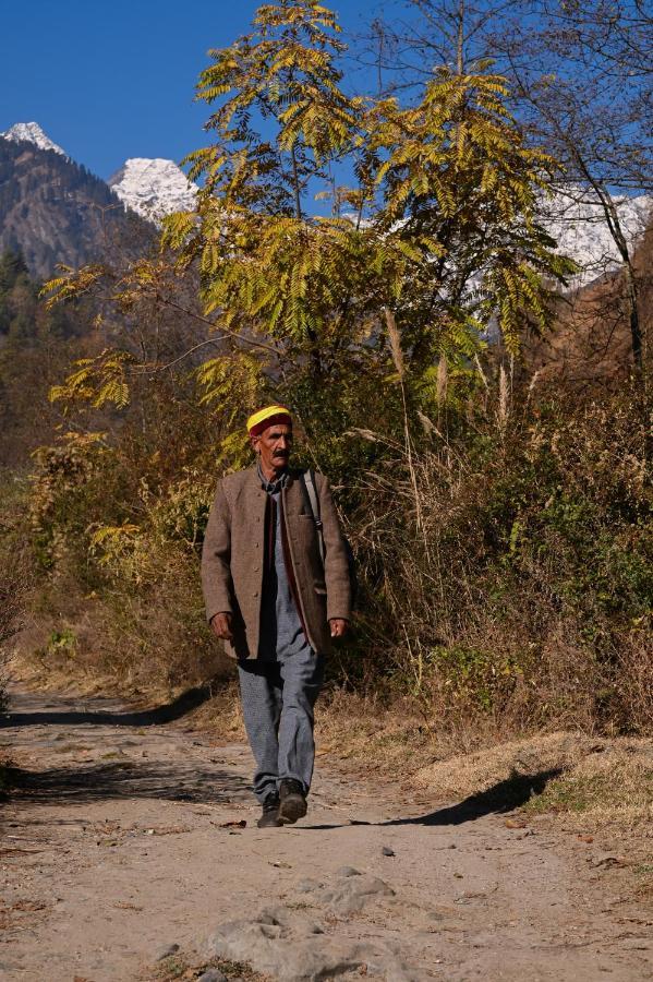 Zostel Dobhi, Manali Nagar (Himachal Pradesh) Exterior foto